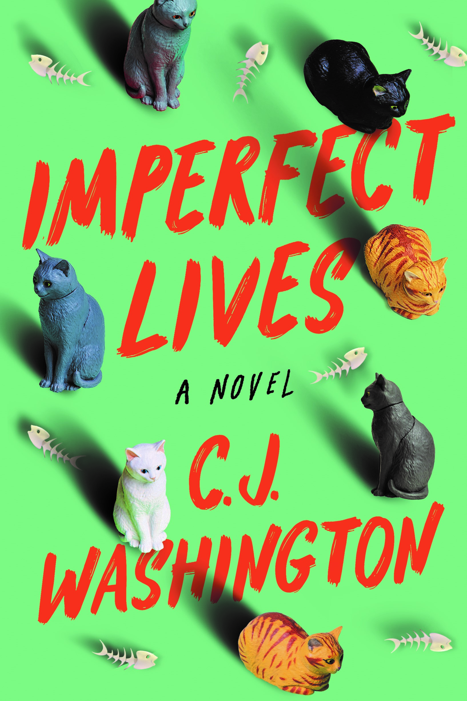 Imperfect Lives